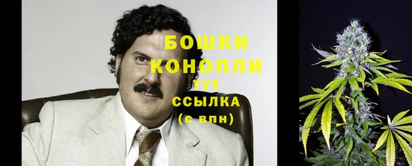 дживик Аркадак