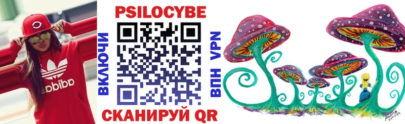 блэк спрут сайт  Кирово-Чепецк  Псилоцибиновые грибы Cubensis 
