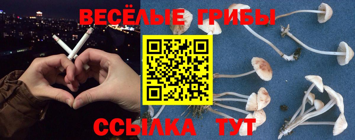 Псилоцибиновые грибы мицелий  Вход с VPN  Кирово-Чепецк  как найти закладки  Псилоцибиновые грибы Cubensis 
